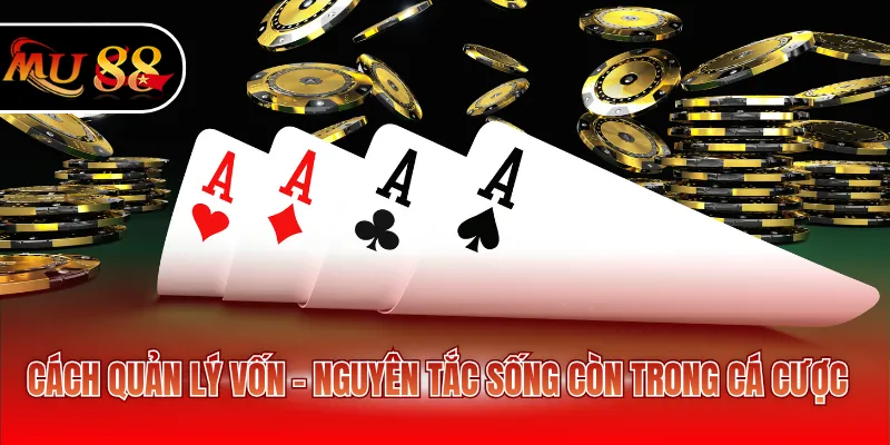 Cách quản lý vốn - Nguyên tắc sống còn trong cá cược